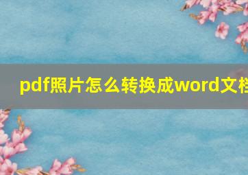 pdf照片怎么转换成word文档