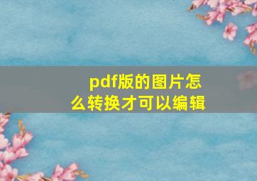 pdf版的图片怎么转换才可以编辑