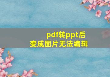 pdf转ppt后变成图片无法编辑