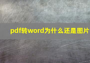 pdf转word为什么还是图片