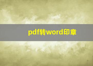 pdf转word印章