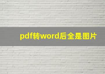 pdf转word后全是图片