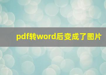 pdf转word后变成了图片