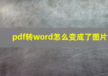 pdf转word怎么变成了图片