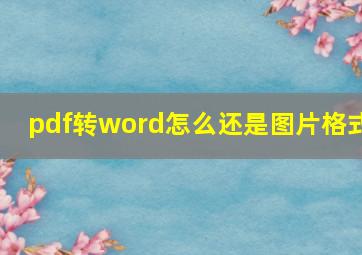 pdf转word怎么还是图片格式