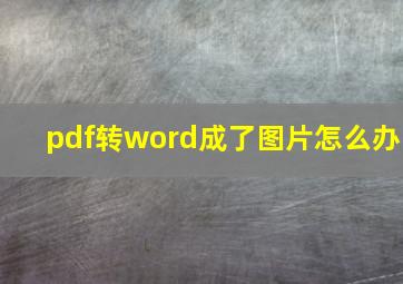 pdf转word成了图片怎么办