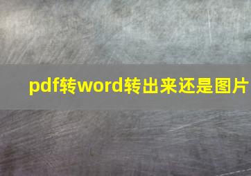 pdf转word转出来还是图片