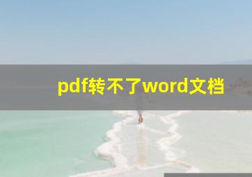 pdf转不了word文档