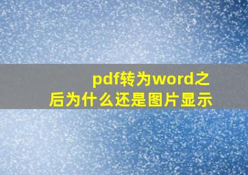 pdf转为word之后为什么还是图片显示