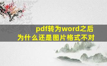 pdf转为word之后为什么还是图片格式不对