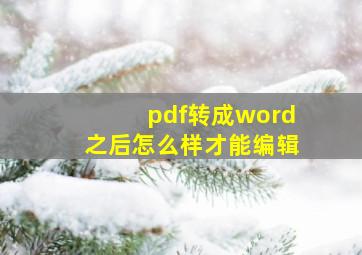 pdf转成word之后怎么样才能编辑