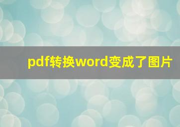 pdf转换word变成了图片