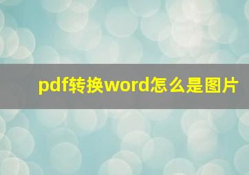 pdf转换word怎么是图片