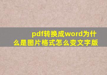 pdf转换成word为什么是图片格式怎么变文字版