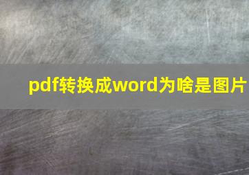 pdf转换成word为啥是图片