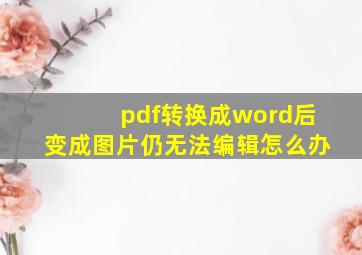 pdf转换成word后变成图片仍无法编辑怎么办