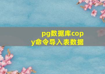 pg数据库copy命令导入表数据