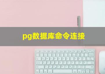 pg数据库命令连接