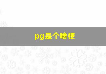 pg是个啥梗