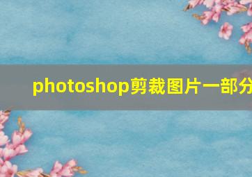 photoshop剪裁图片一部分