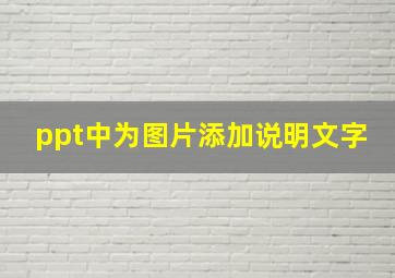 ppt中为图片添加说明文字