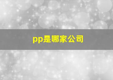 pp是哪家公司