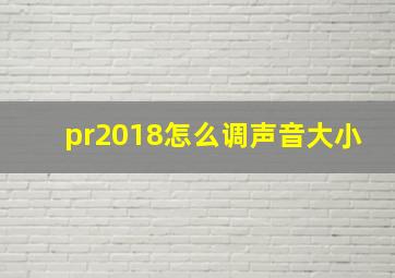 pr2018怎么调声音大小