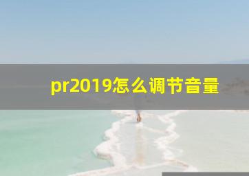 pr2019怎么调节音量