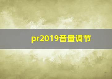 pr2019音量调节