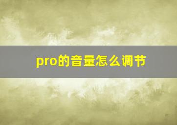 pro的音量怎么调节