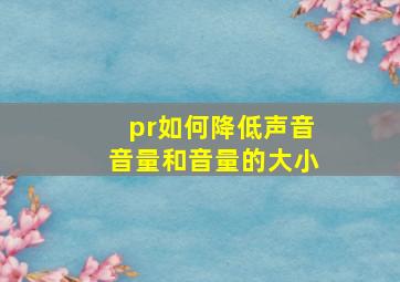 pr如何降低声音音量和音量的大小