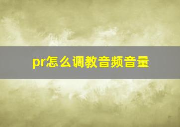 pr怎么调教音频音量