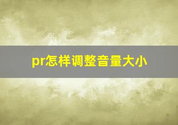 pr怎样调整音量大小