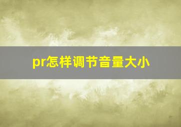 pr怎样调节音量大小