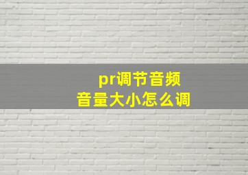 pr调节音频音量大小怎么调