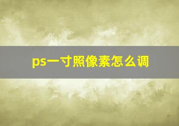 ps一寸照像素怎么调