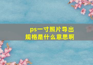 ps一寸照片导出规格是什么意思啊