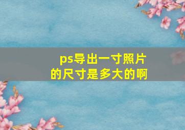 ps导出一寸照片的尺寸是多大的啊