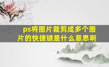 ps将图片裁剪成多个图片的快捷键是什么意思啊