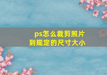 ps怎么裁剪照片到规定的尺寸大小