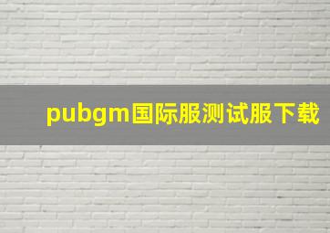 pubgm国际服测试服下载