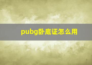 pubg卧底证怎么用