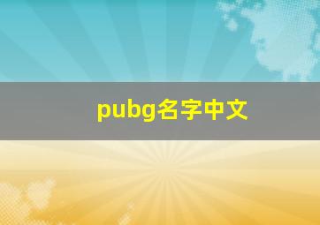 pubg名字中文