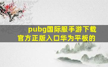 pubg国际服手游下载官方正版入口华为平板的