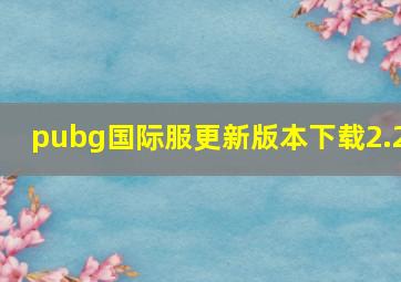 pubg国际服更新版本下载2.2