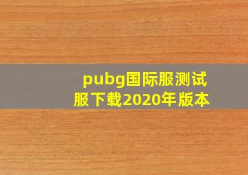 pubg国际服测试服下载2020年版本