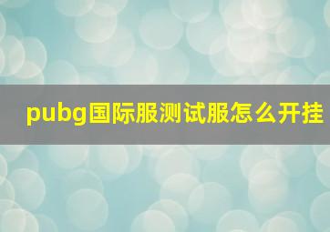 pubg国际服测试服怎么开挂