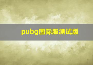 pubg国际服测试版