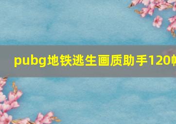 pubg地铁逃生画质助手120帧