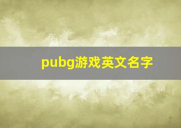 pubg游戏英文名字